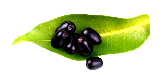 Kala Jamun
